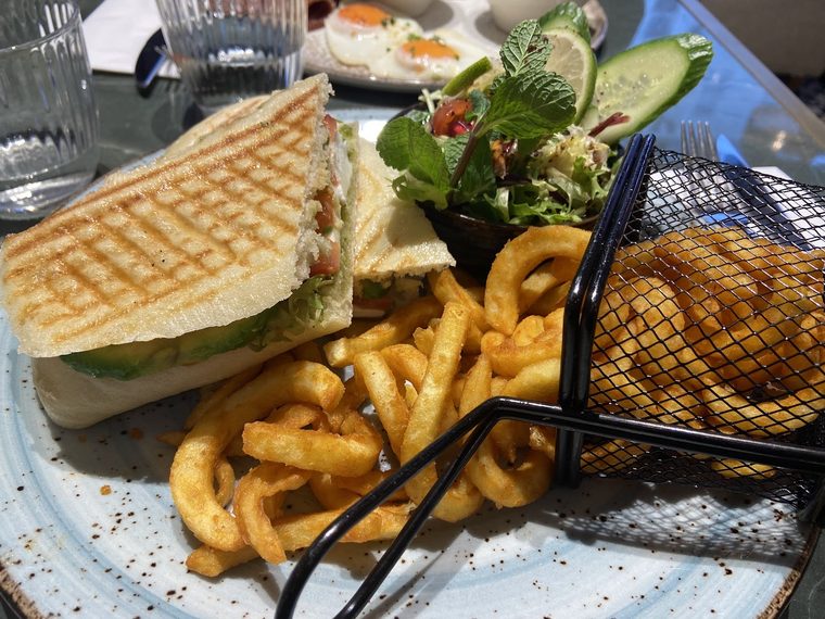 Toasted panini with salad, curly fries and a basket of onion rings